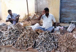 Dried fish is sometimes available at the market.