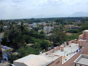 Houses with flat roofs.