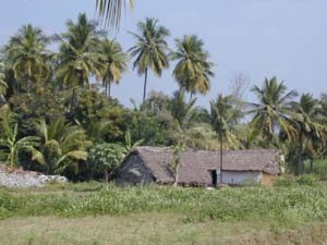A traditional brick and mud house with thatched roof, on the outskirts of the village.