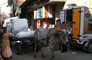 Bullock cart delivering goods.