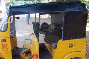 Black and yellow taxi ("auto")