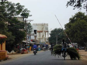 Bike overloaded with crops.