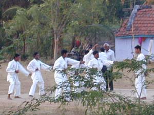 Young men doing karate