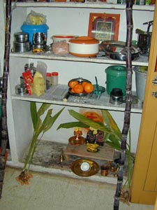 Families decorate their family shrine with turmeric, coconuts, sugar cane, fruit and grains at Pongal time.