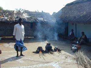 Pongal rice is cooked outside the home as part of the festival.