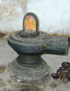 The Shiva Lingam worshipped in many Tamil Nadu Temples.