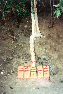 A simple shrine under a tree shows the vibhuti symbol of Lord Shiva.